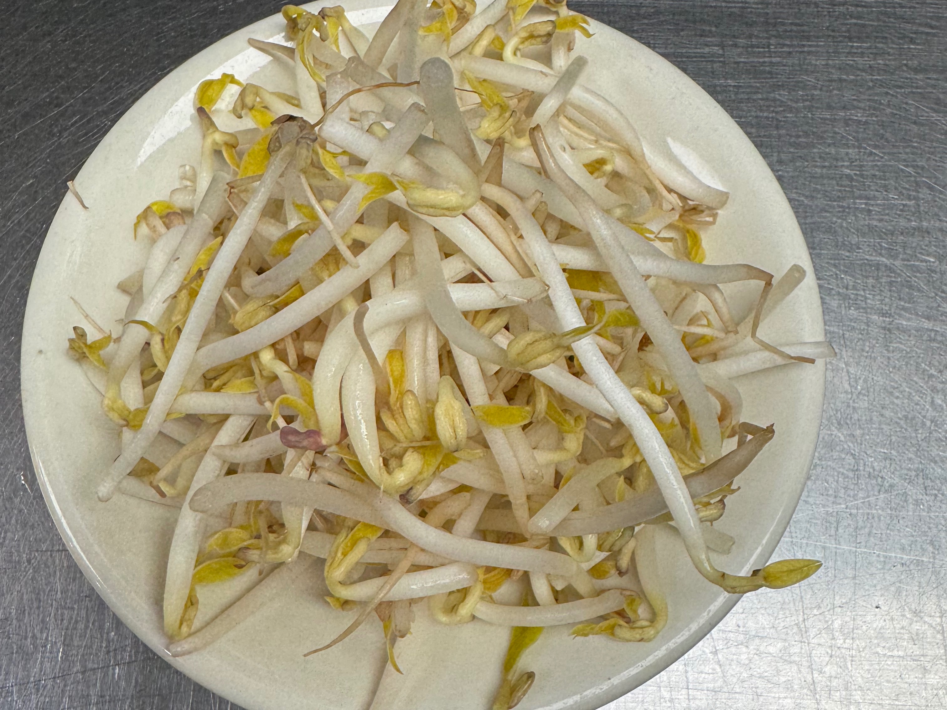Side of Bean Sprouts.