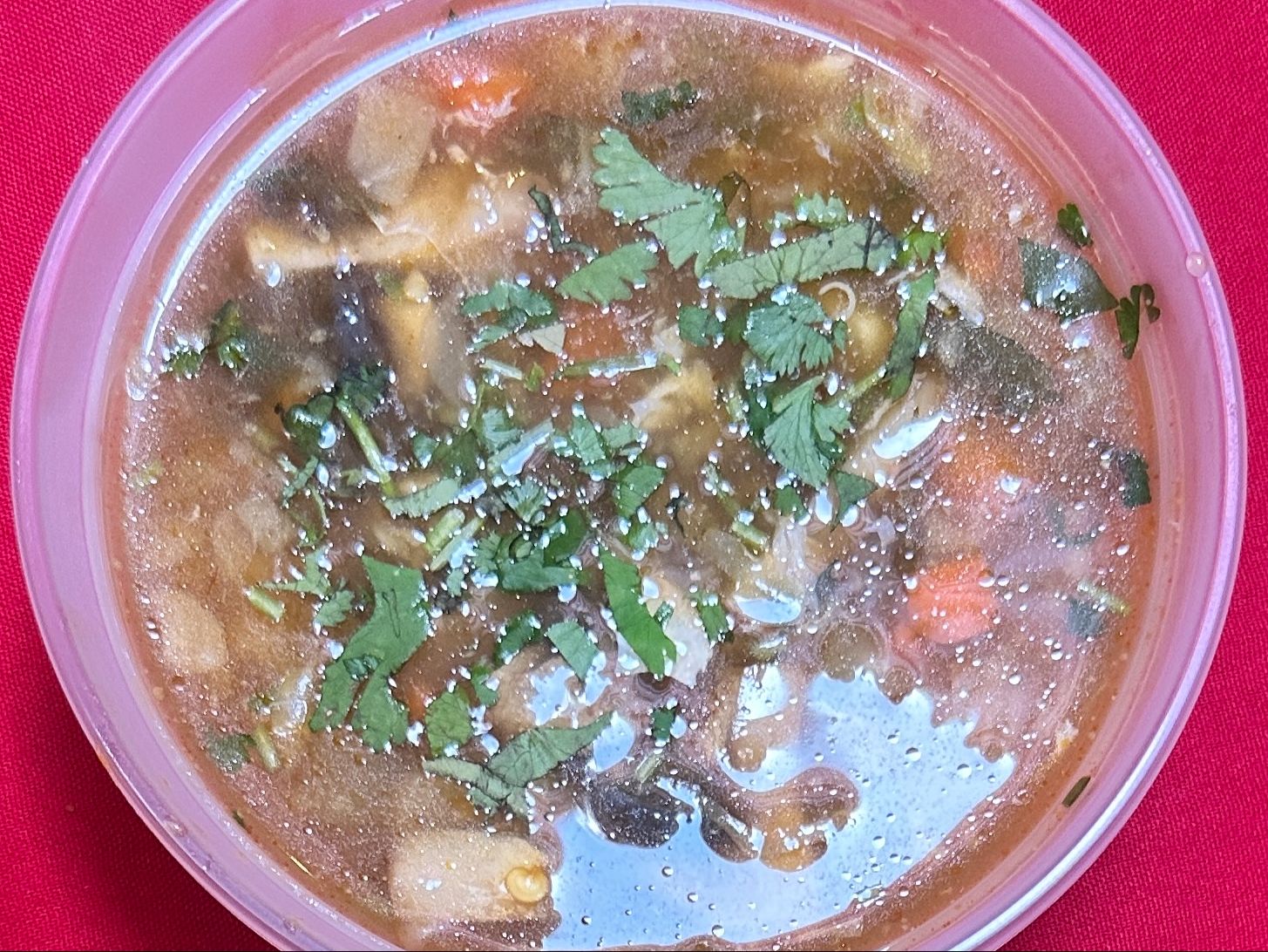 Hot & Sour (Vegetable).