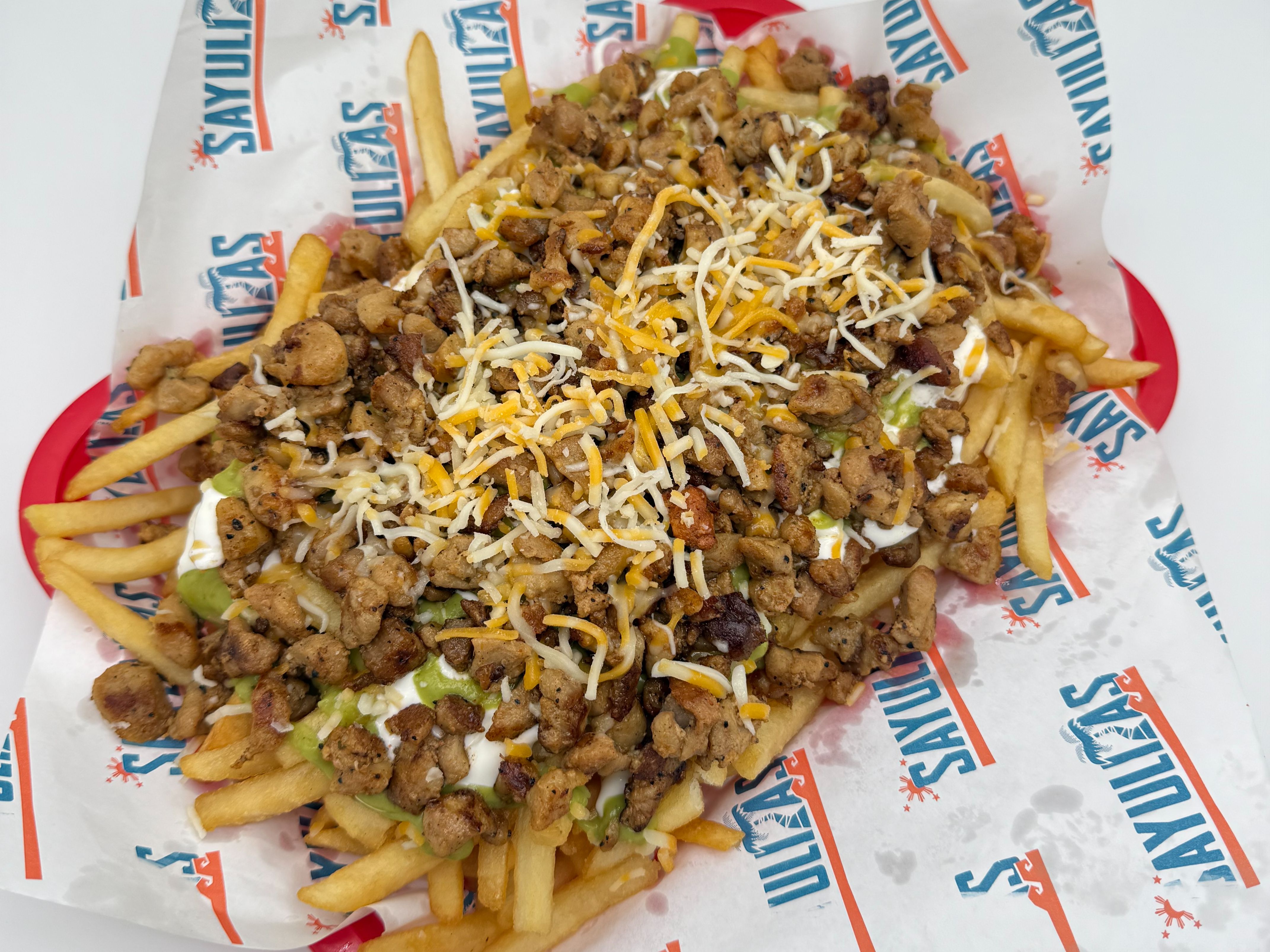 Pollo Asado Fries