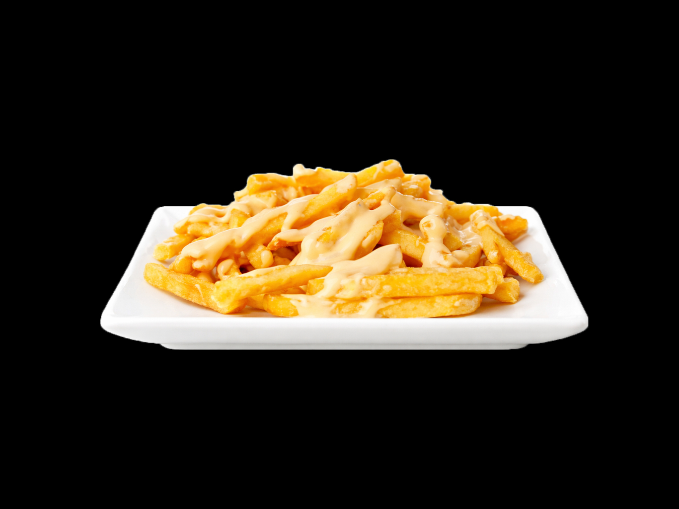 CHEESE FRIES.
