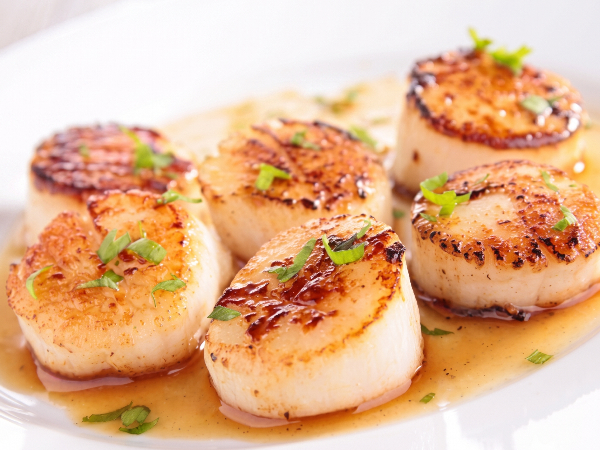 1/2 Lb. Scallops.