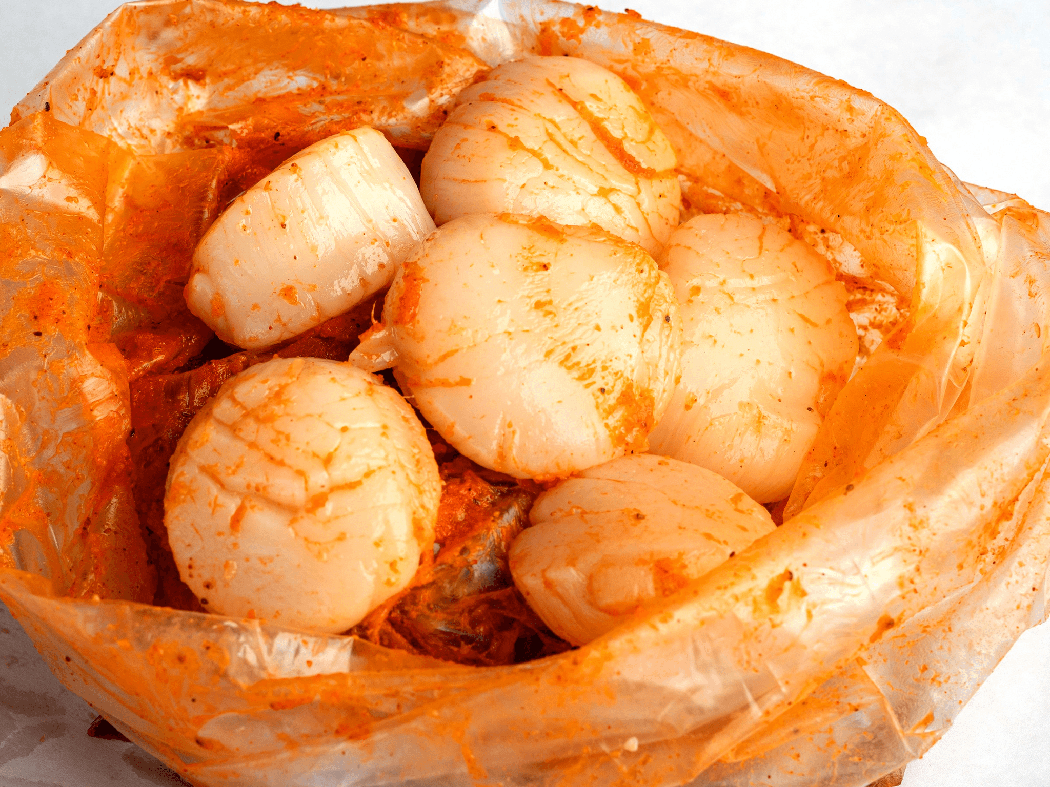 6 Scallop.