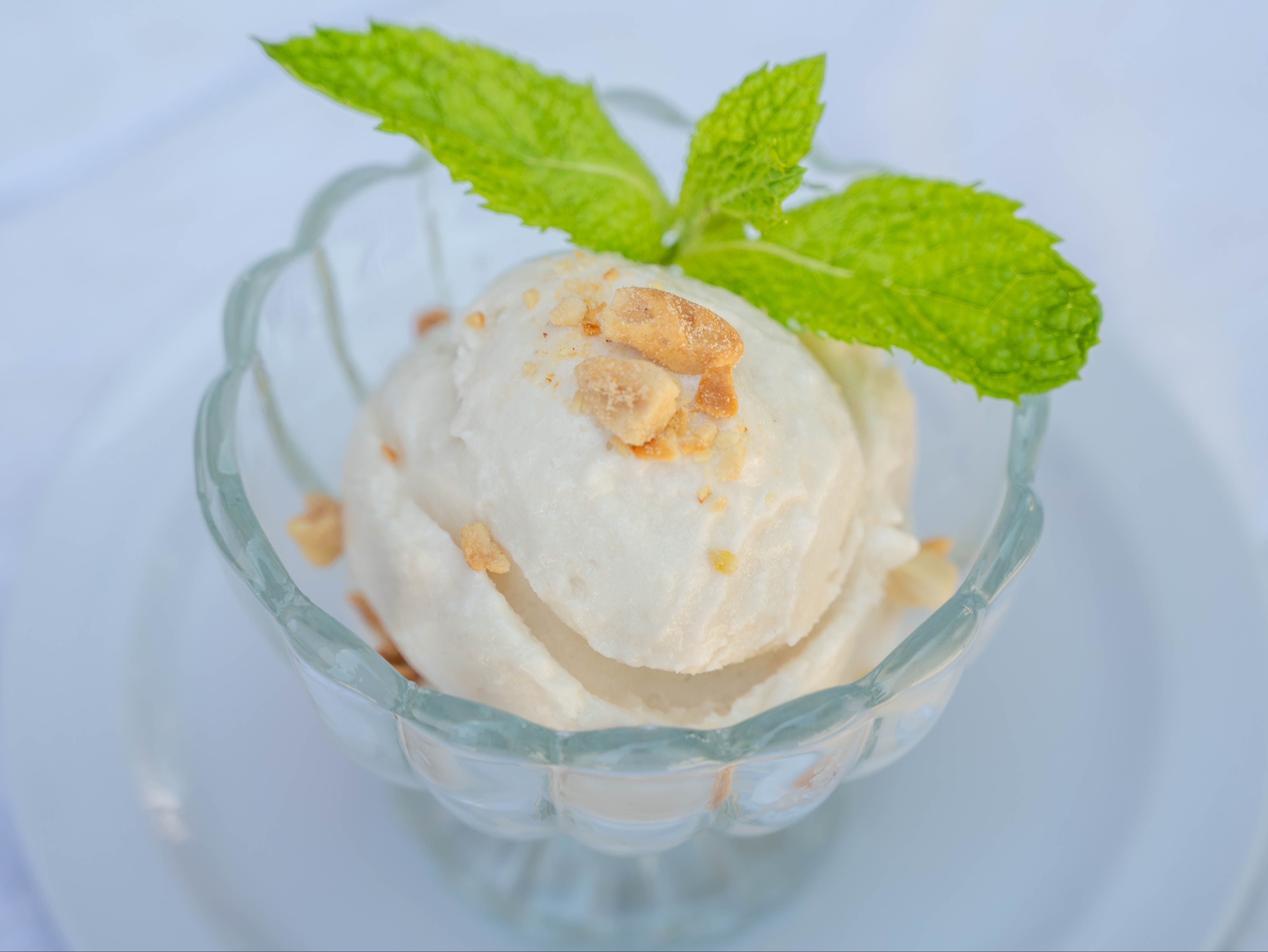 Homemade Coconut Ice Cream