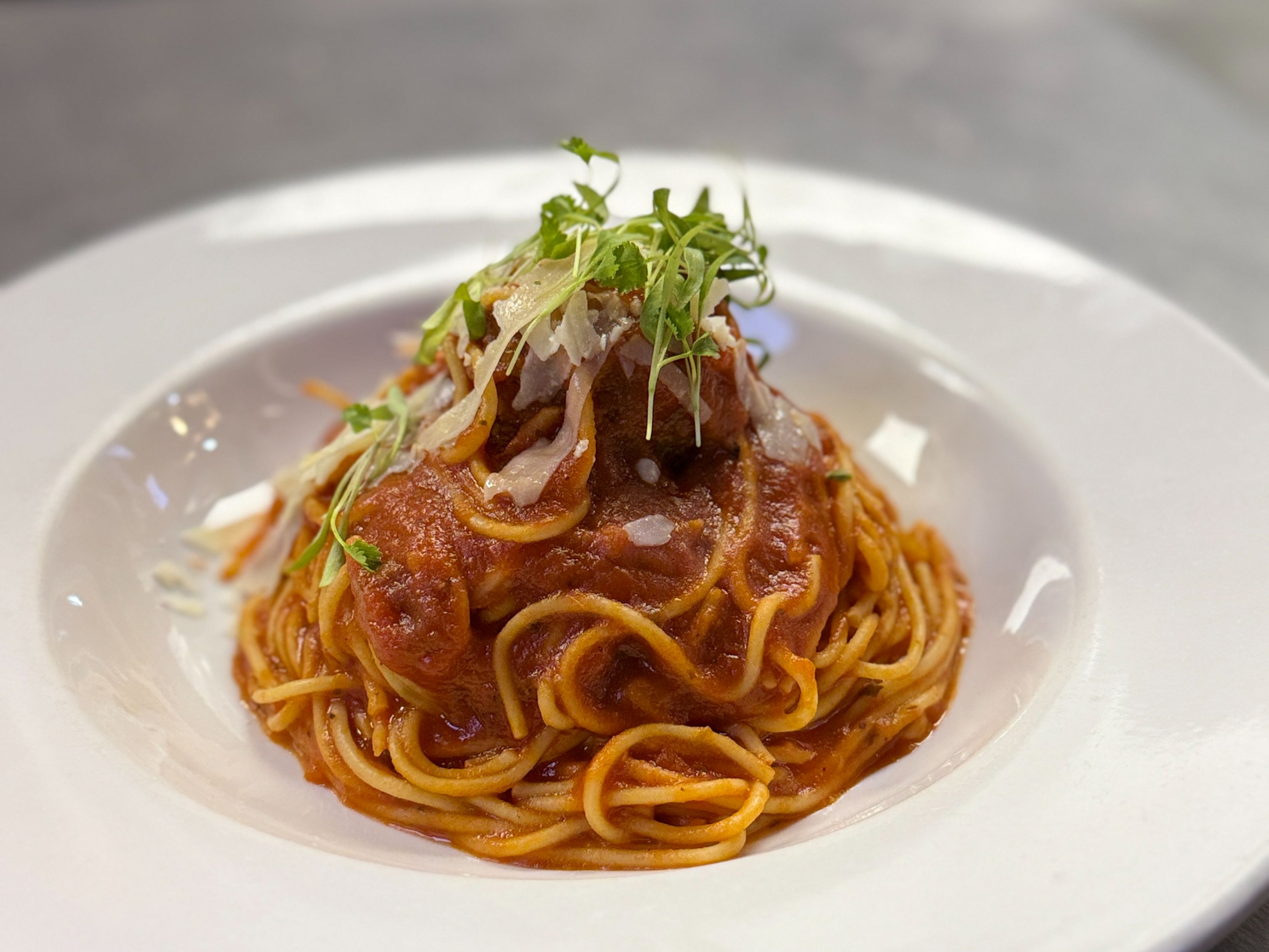 Spaghetti Meatball