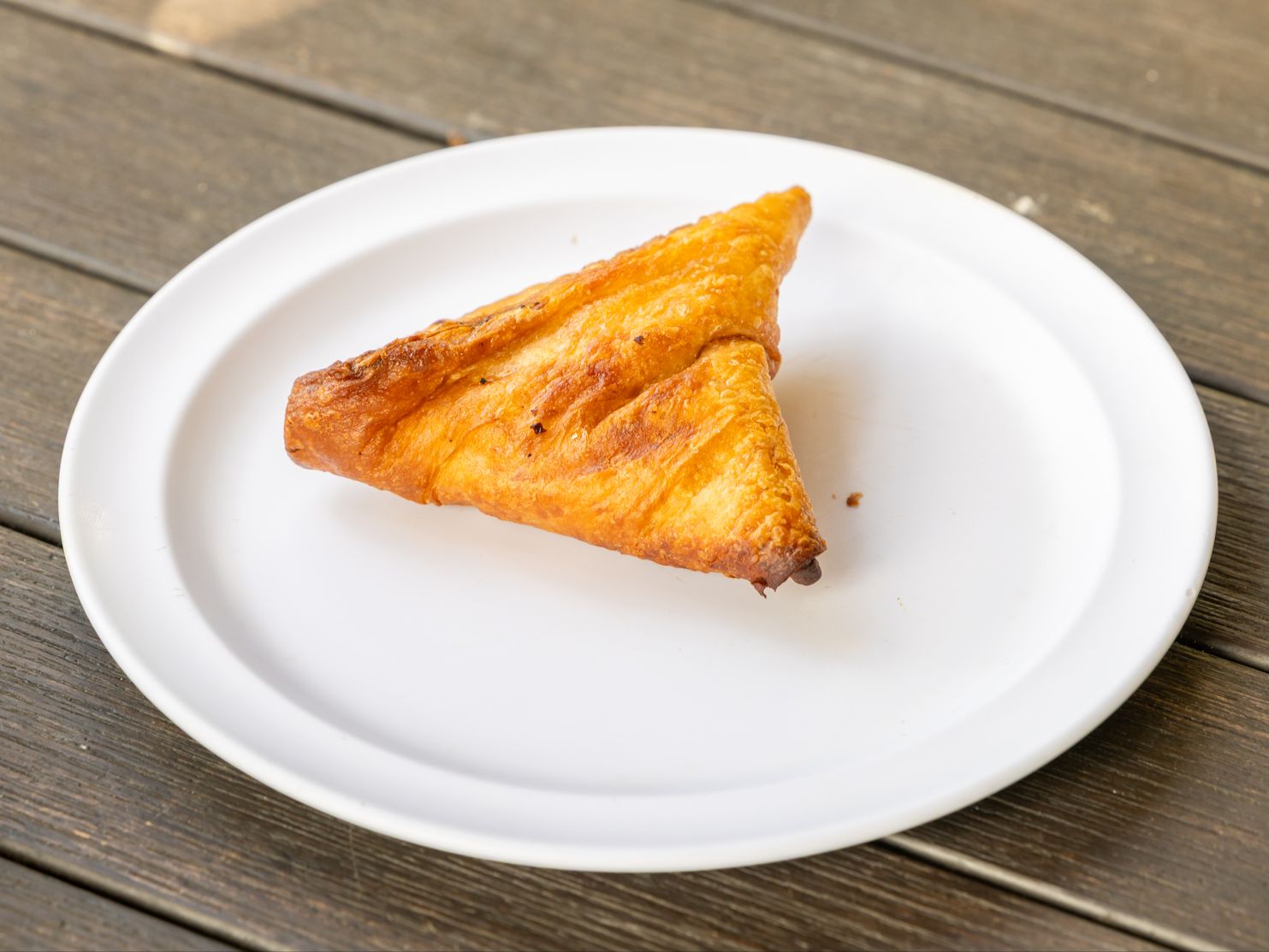 48. Lentils Sambosa.