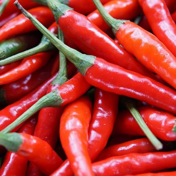 Cayenne Hot Peppers Pint