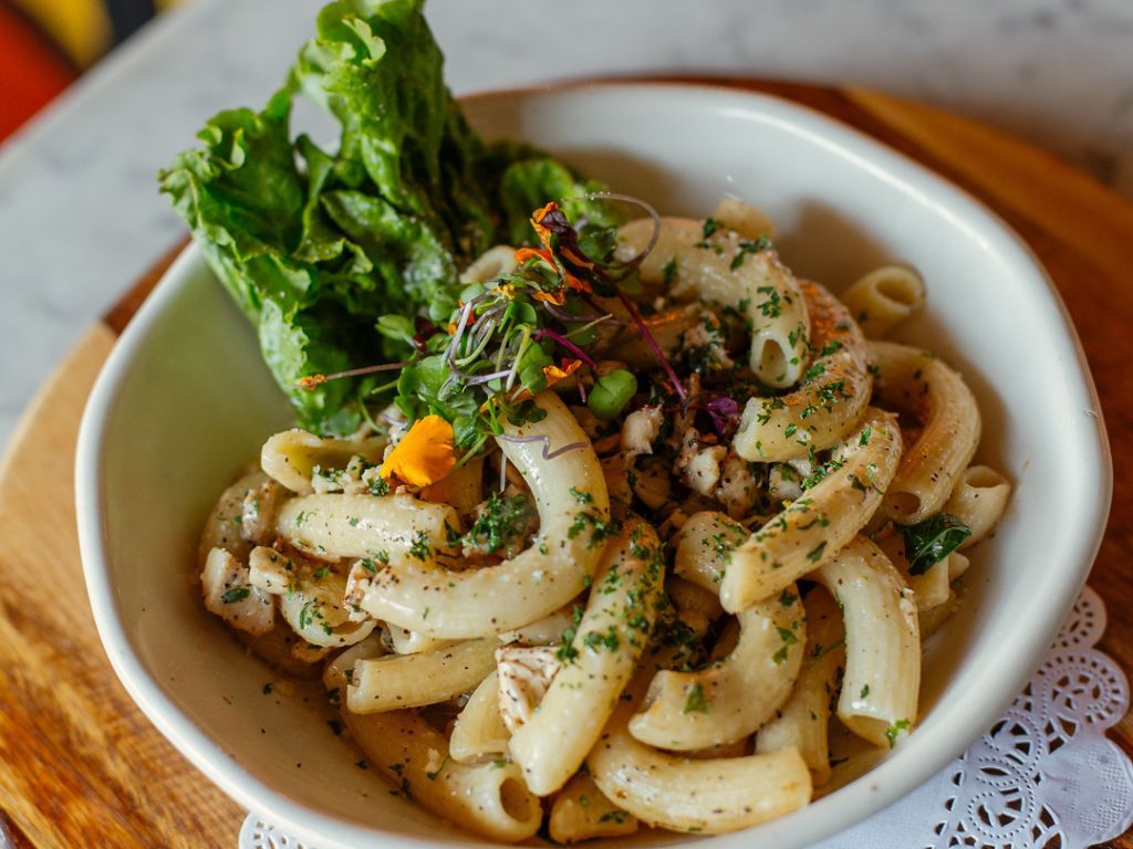 Chicken Alfredo.
