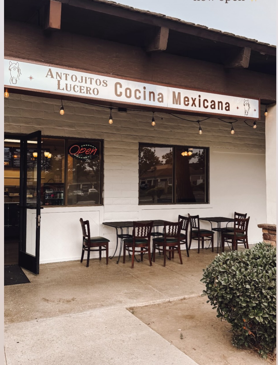 ANTOJITOS LUCERO - About Us