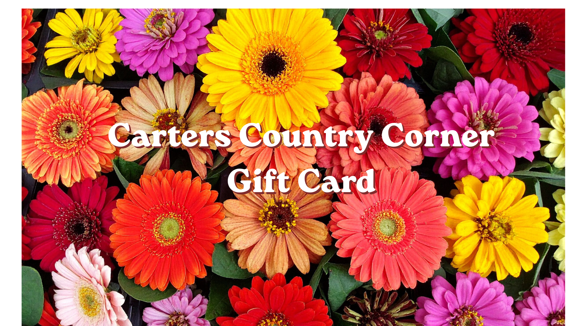 Carters Country Corner - About Us