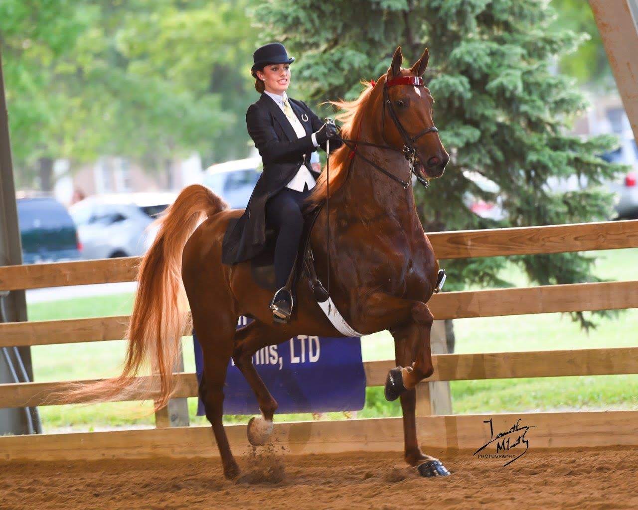 COBBLESTONE STABLES LLC - About Us