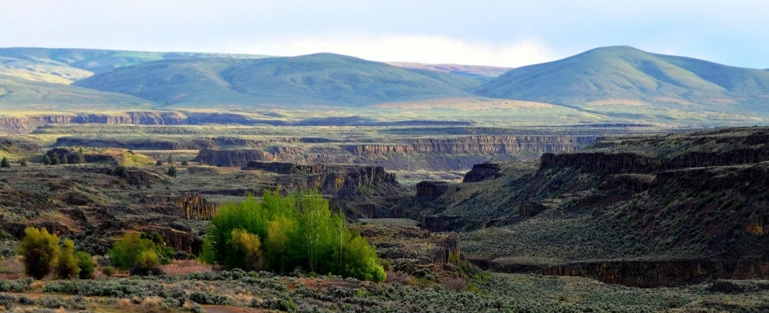 Rimrock Meadows Association